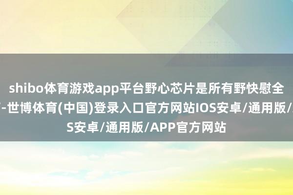 shibo体育游戏app平台野心芯片是所有野快慰全的底座和基石-世博体育(中国)登录入口官方网站IOS安卓/通用版/APP官方网站